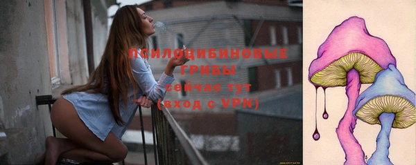 эйфоретик Алексин