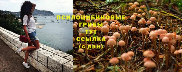 эйфоретик Алексеевка