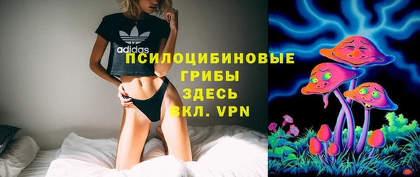 эйфоретик Алексеевка