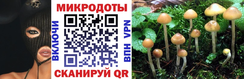 Галлюциногенные грибы прущие грибы Лабинск